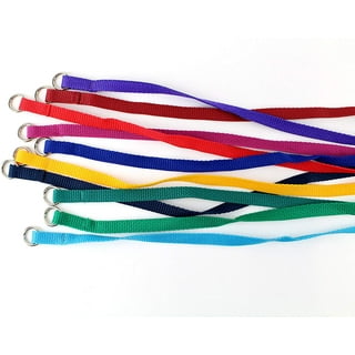 Bulk Kennel Leads