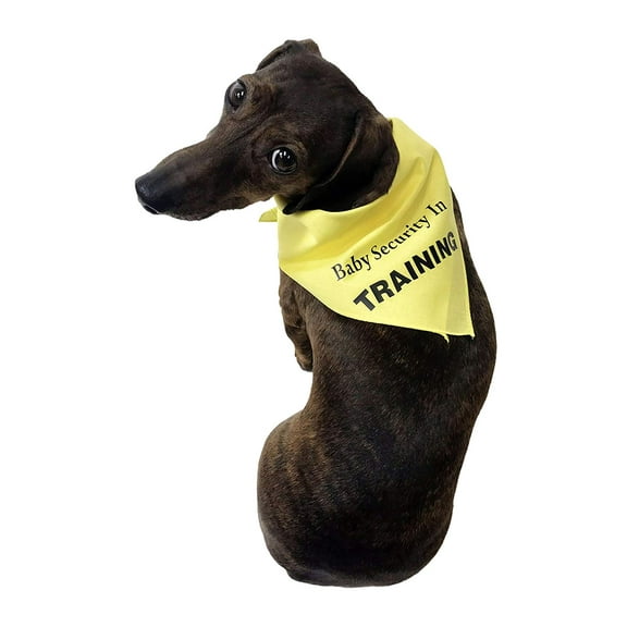Midlee Baby Security Dog Bandana (Small)