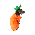 thumbnail image 1 of Midlee Carrot Easter & Halloween Dog Costume (Medium), 1 of 5