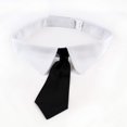 thumbnail image 1 of Midlee Formal Black Dog Tie 19-23" Neck (X-Large), 1 of 5