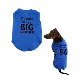 Big brother dog sweater 2025
