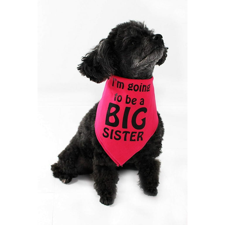 Big sister dog best sale sweater