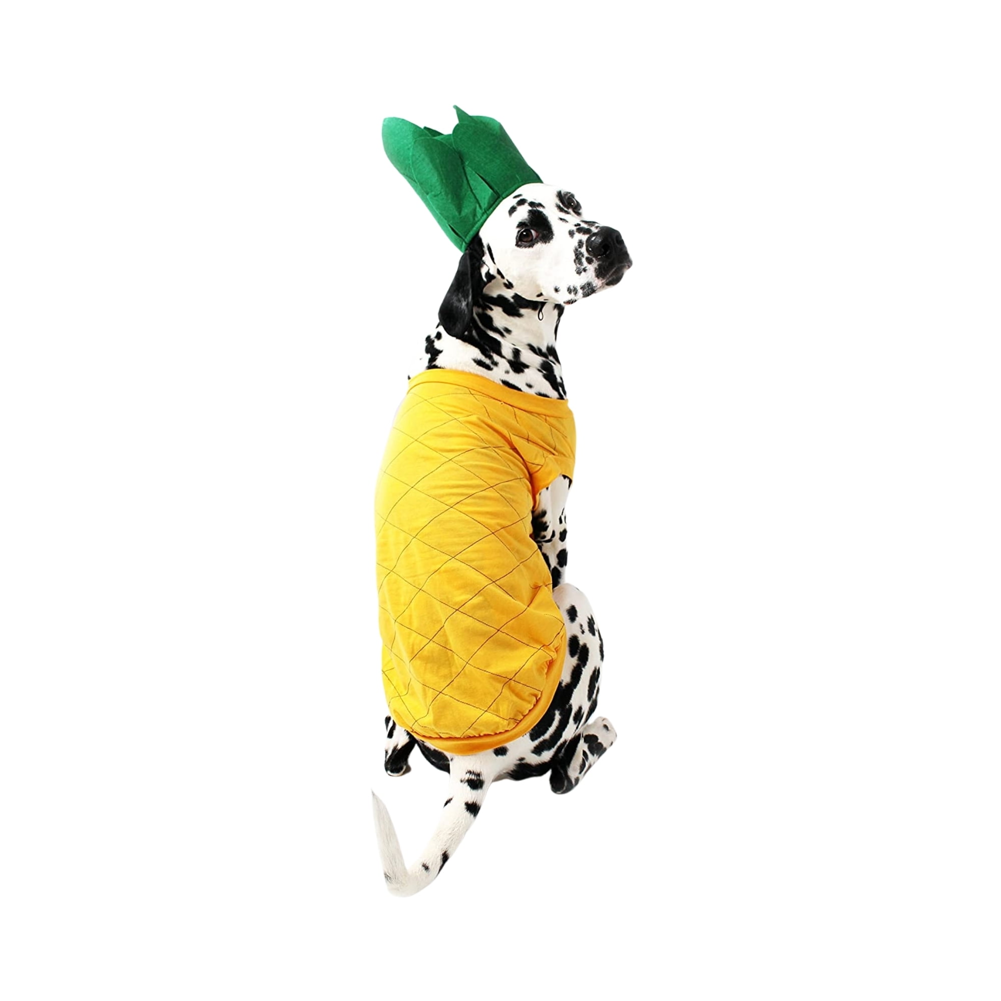 Pineapple costume for discount dog