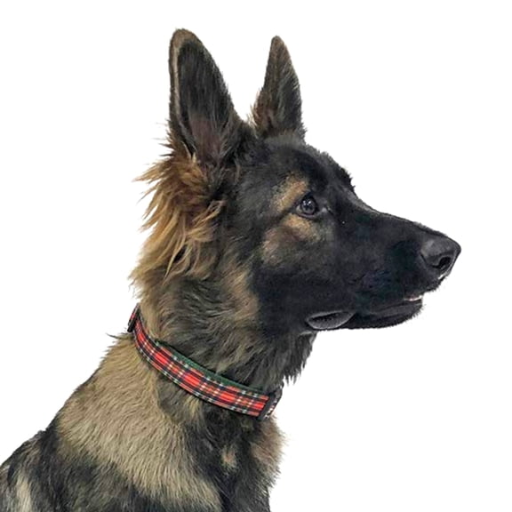 Midlee Red Plaid Christmas Nylon Ribbon Dog Collar (Medium)