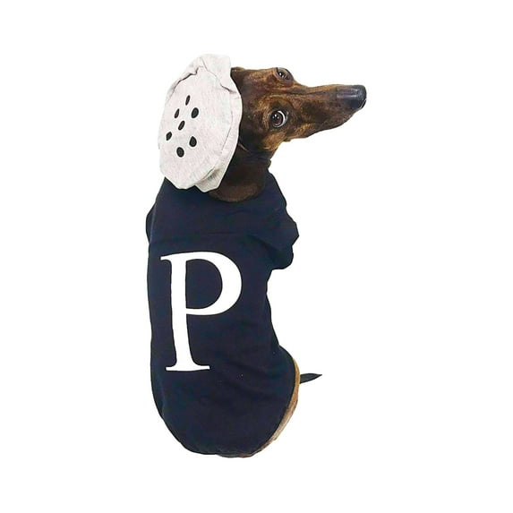 Midlee Salt & Pepper Dog Halloween Costume (Pepper, Medium)