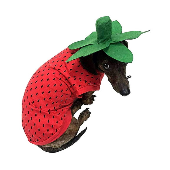Midlee Strawberry Halloween Dog Costume (Large)