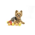 thumbnail image 1 of Midlee Thanksgiving Gobble Dog Tennis Ball Toy (Mini) - Set of 12, 1 of 6