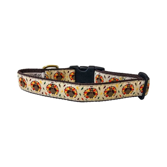 Midlee Thanksgiving Turkey Buckle Dog Collar- Made in The USA (Medium)