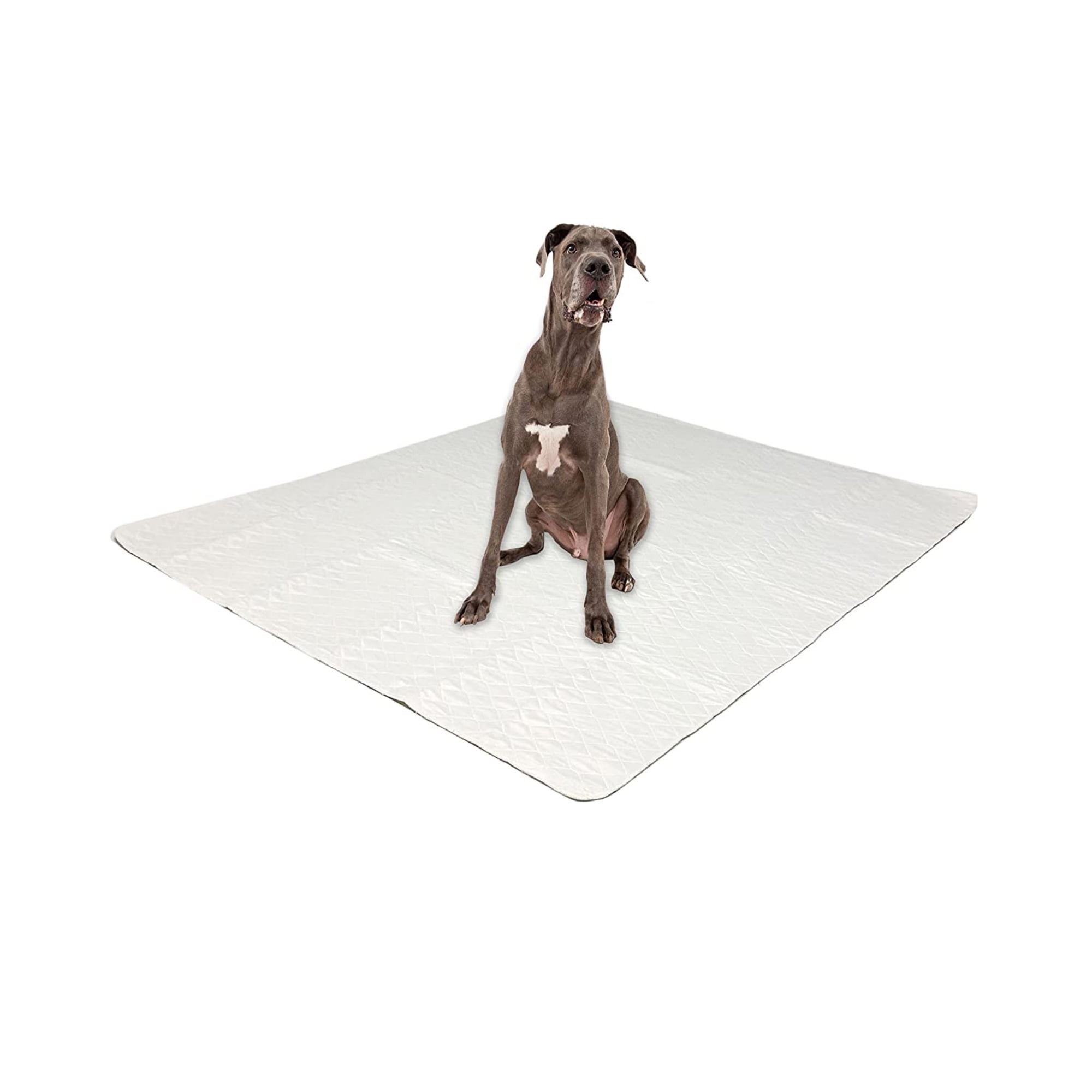 Extra Large White Washable Dog Pee Pads Pack of 3