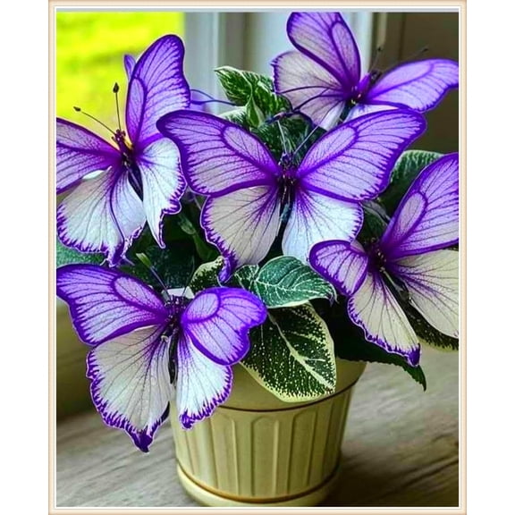 Midnight Blue Hosta-Plants For Planting - Home Decoration, Exceptional, Premium Garden, Garden Stakes, Garden Elegance Decoration