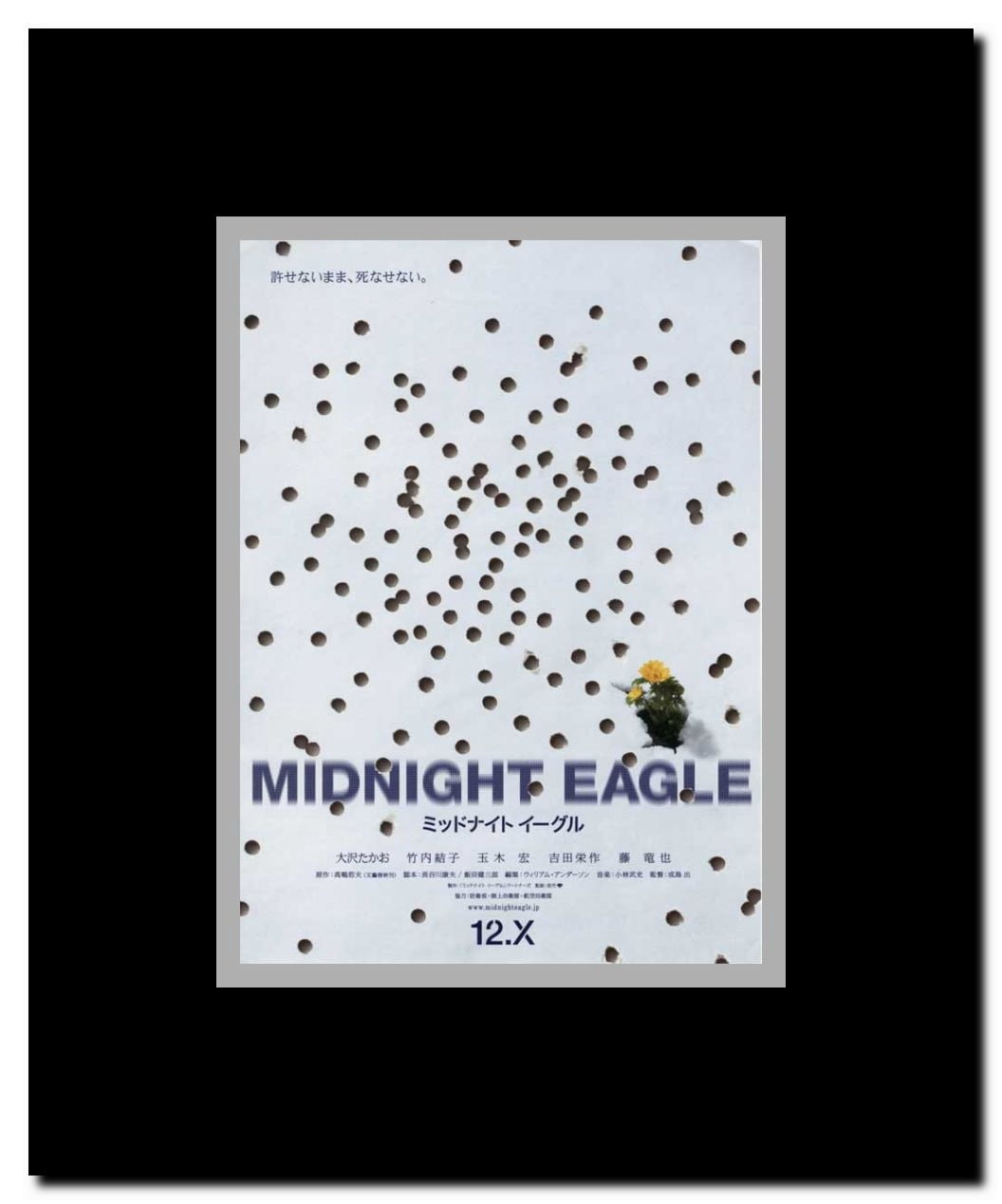 Midnight Eagle Framed Movie Poster