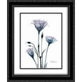 thumbnail image 1 of Midnight Gentian 2 2x Matted 20x24 Black Ornate Framed Art Print by Koetsier, Albert, 1 of 2