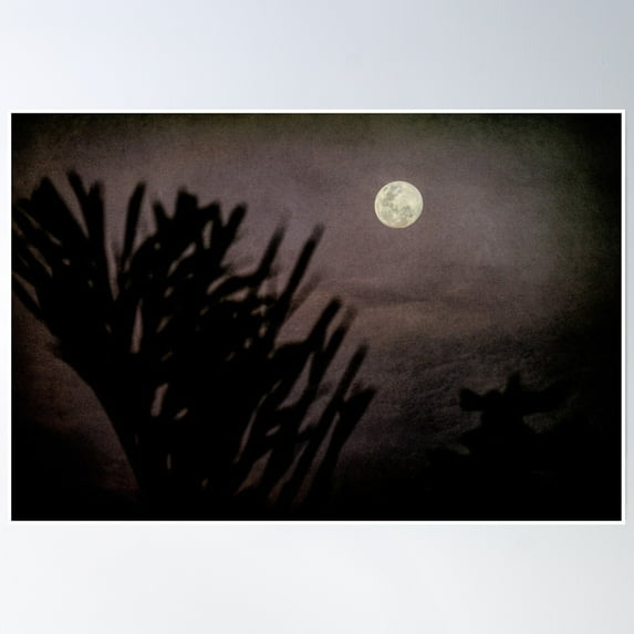 Midnight Moon Amongst Palms Poster Wall Art, Modern Wall Decor, 12x18 UNFRAMED