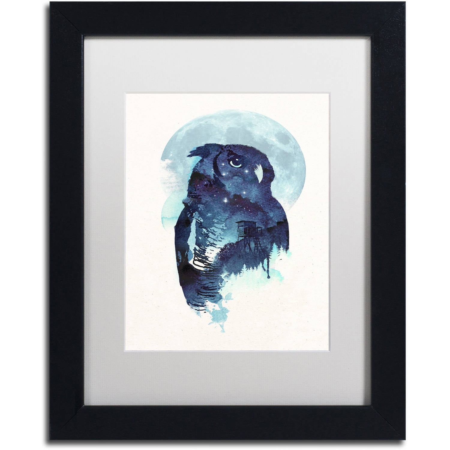 Midnight Owl' Canvas Art by Robert Farkas, White Matte, Black Frame