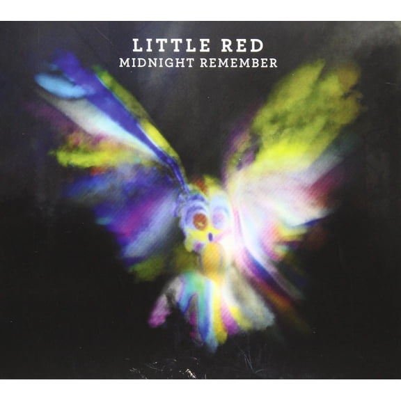 Midnight Remember (Audiobook)