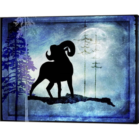 Midnight Sheep by LightBoxJournal, Canvas Wall Art, 20W x 16H
