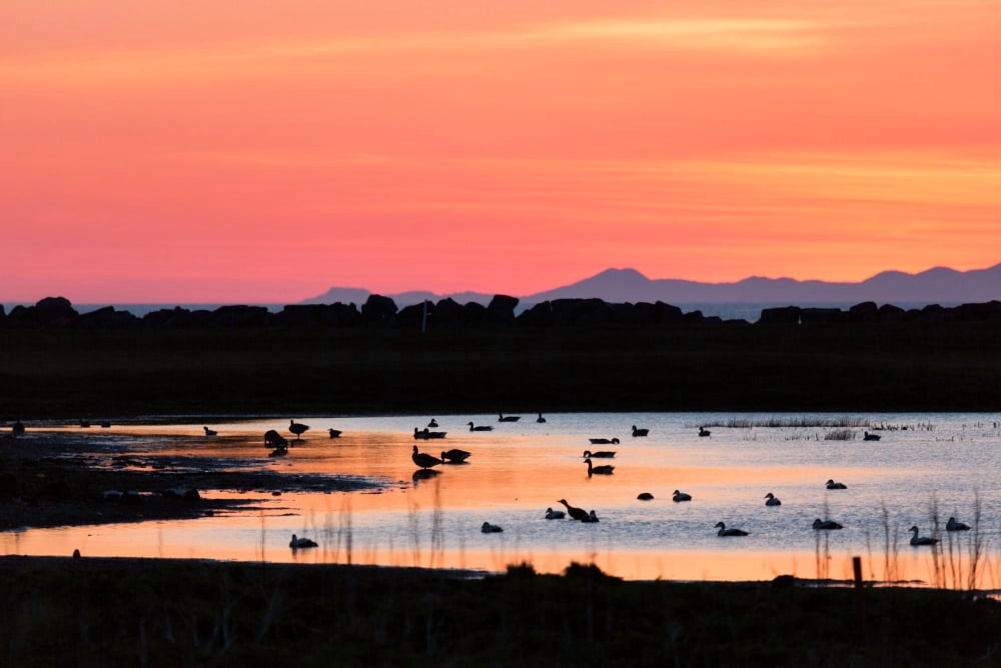 Midnight Sun Reykjavik Iceland Canvas Art - Panoramic Images (27 x 9)