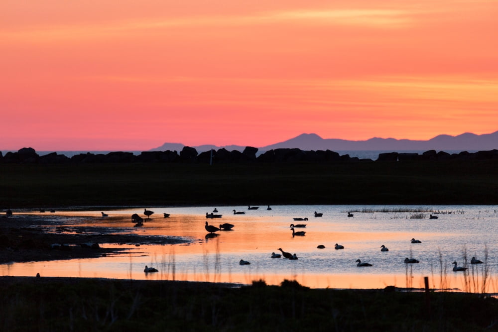Midnight Sun Reykjavik Iceland Canvas Art - Panoramic Images (36 x 12)