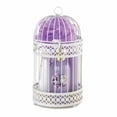 thumbnail image 1 of MIDNIGHT WISTERIA LANTERN SPA SET, 1 of 2