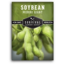 Midori Giant Soybean Seeds for Planting - Non-GMO Heirloom Soy Bean (1 Pack)