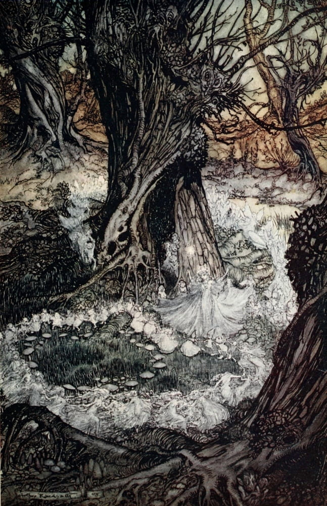 Midsummer Nights Dream 1908 Come now a roundel Canvas Art - A Rackham (18 x 24)