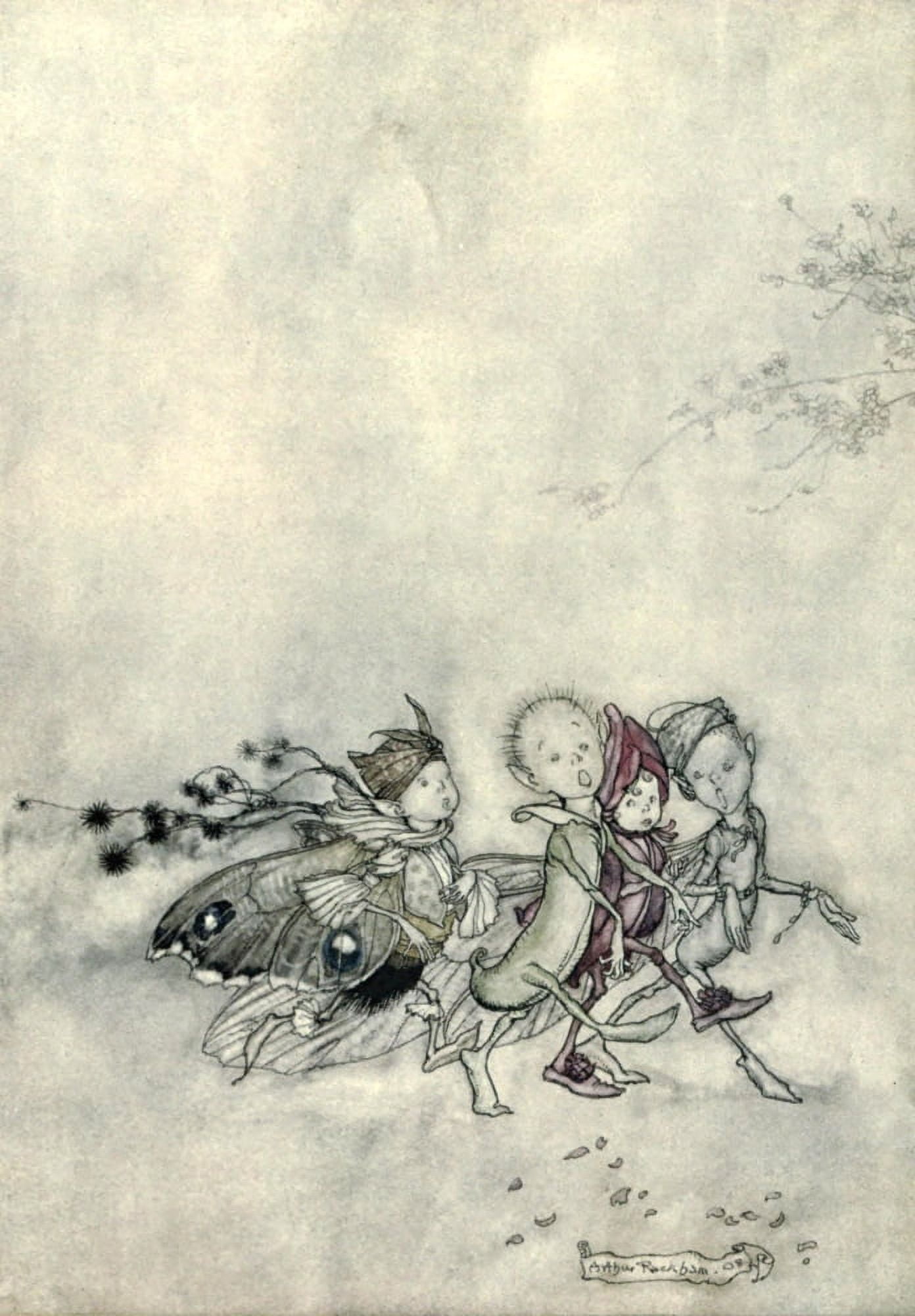 Midsummer Nights Dream 1908 Peasebottom Cobweb Moth Mustardseed Canvas Art - A Rackham (24 x 36)