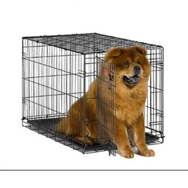 Midwest 1542 iCrate FoldCarry Dog Crate with Divider Panel Blue 42