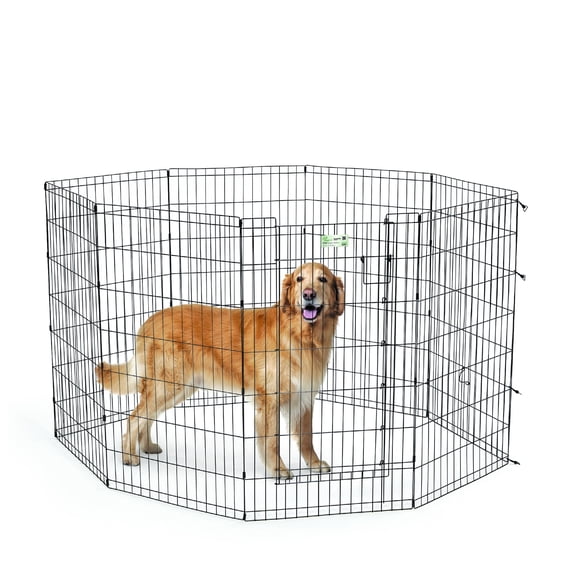 MidWest 8 Panel Black Exercise Pen with MAX Lock Door
