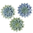 thumbnail image 1 of Midwest-CBK Metal Succulent Flower Wall Sculptures - Set of 3 Assorted, 1 of 1