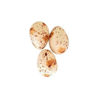 Sullivan 24-Pack Realistic Speckled Faux Bird Eggs - 1.25" Blue, Brown, Cream - Craft Decor