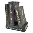 thumbnail image 1 of Midwest Design Imports Four Spell Books, 8", Rustic, 1 of 1