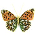 thumbnail image 1 of Midwest Design Imports Orange and Green Butterfly, 4", 1 of 1