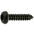 thumbnail image 1 of Midwest Fastener MF36882 6 x 0.62 Star Pan Sheet Metal Screw - 35 Piece, 1 of 1