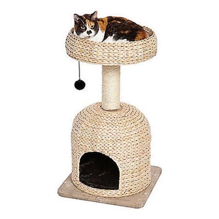 Midwest Homes for Pets 31in. 134 S-Wt Nuvo Scout Cat Tree - Brown