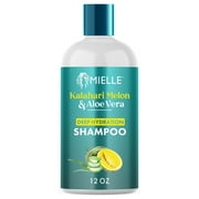 Mielle Kalahari Melon and Aloe Vera Deep Hydration Shampoo - 12 fl oz
