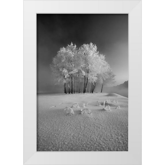 Mierzejewski, Krzysztof 17x24 White Modern Wood Framed Museum Art Print Titled - The First Snow