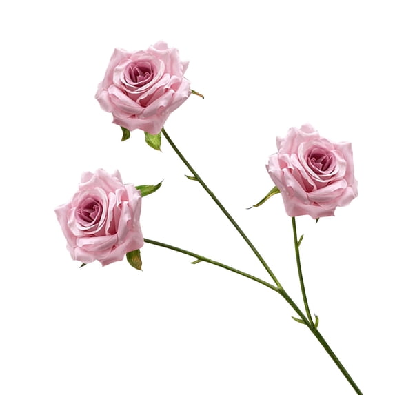 Mifelio Three-Head Artificial Rose Stem, Gradient Pink, 16 × 66 cm / 3 Heads