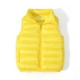 thumbnail image 1 of Mifsaly Kids Boys Girls Quilted Puffer Vest Lightweight Stand Collar Full Zip Sleeveless Jacket Fall Winter Warm Outerwear, 1 of 5