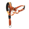 thumbnail image 1 of Mightlink Dog Mouth Muzzle with Tow Ring Adjustable Loop Wear-resistant Portable 3 Colors Prevent Bite Traction Tool Rope Muzzle Large Dog Anti-Barking Muzzle Pet Supplies, 1 of 7