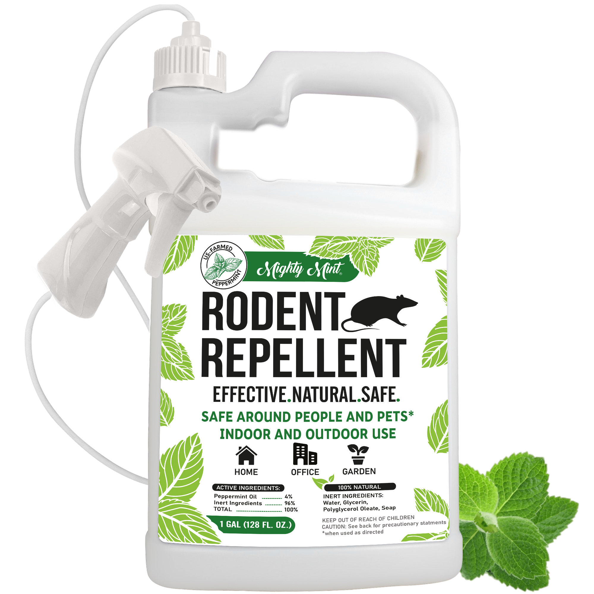 Mouse Repellent Balls Peppermint Rats Deterrent Indoor Rodent Repellent for House Mint Mice