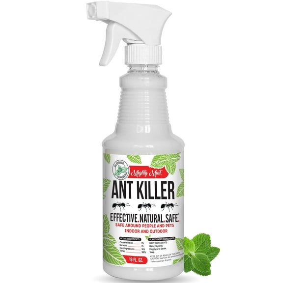 Mighty Mint Peppermint Oil Ant Killer Spray  Natural Ant Repellent for Indoor & Outdoor Use  Plant-Based Insect & Pest Control  16 oz