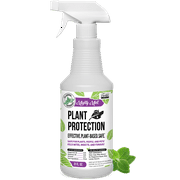 Mighty Mint Peppermint Oil Plant Protection Spray Insect & Pest Control for Gnats, Spider Mites & Aphids, 31 fl oz