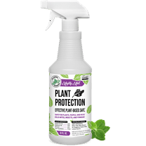 Mighty Mint Plant Protection Pest Spray Peppermint 31 fl. oz. for Spider Mites, Fungus, Insects