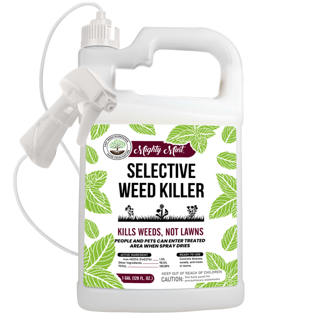 Mighty Mint Organic Selective Herbicide Weed Killer for Lawns Kills