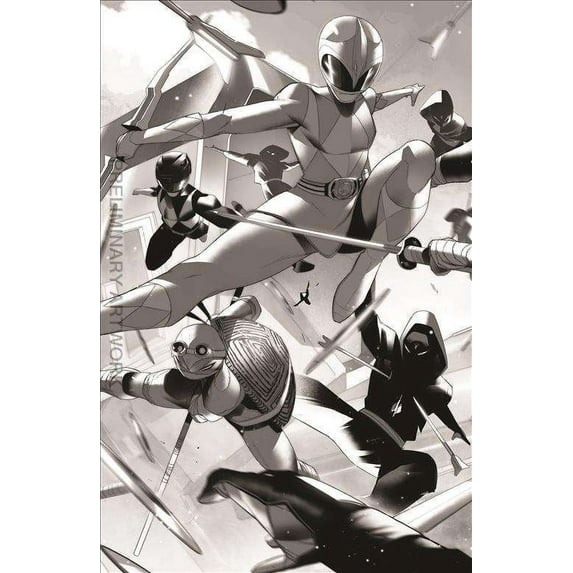 Mighty Morphin Power Rangers/ Teenage Mutant Ninja Turtles II #2G VF ; Boom! Comic Book