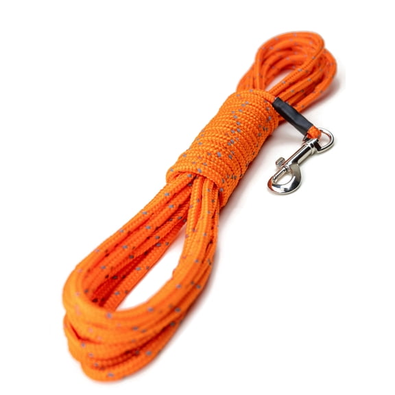 Mighty Paw 30 ft Nylon Striped Reflective Dog Standard Leash, Orange
