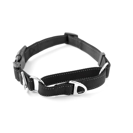 Mighty Paw Dog Training Collar with Reflective Stitching, Dog Collar with Double D-Ring Attachment, Black, Small