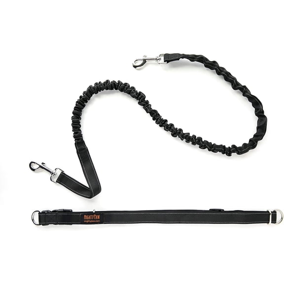 Mighty Paw Hands Free Dog Leash | Reflective Bungee for Running, Walking, Hiking (Black)