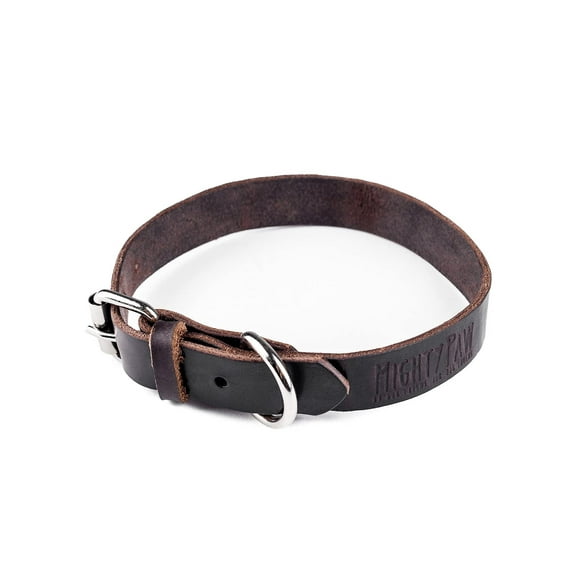 Mighty Paw Leather Dog Collar, Genuine Leather & Metal Buckle, For Small, Medium, Large & XL Pets
