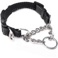 thumbnail image 1 of Mighty Paw Martingale Dog Collar - Stainless Steel Chain, Heavy Duty Buckle - Small, Black, 1 of 10